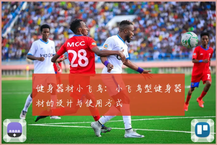 健身器材小飞鸟:小飞鸟型健身器材的设计与使用方式