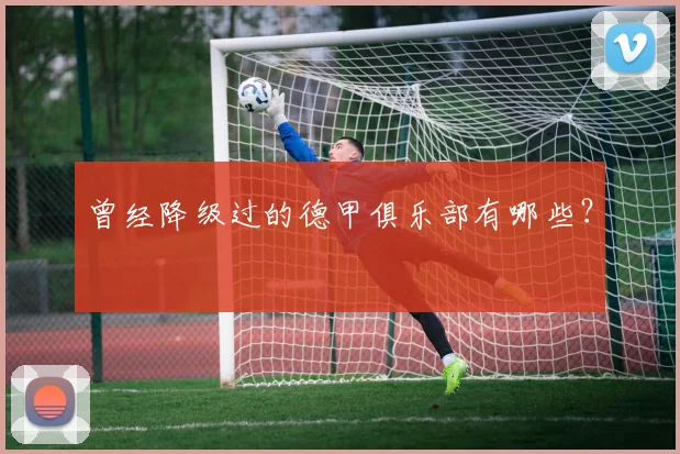 曾经降级过的德甲俱乐部有哪些？