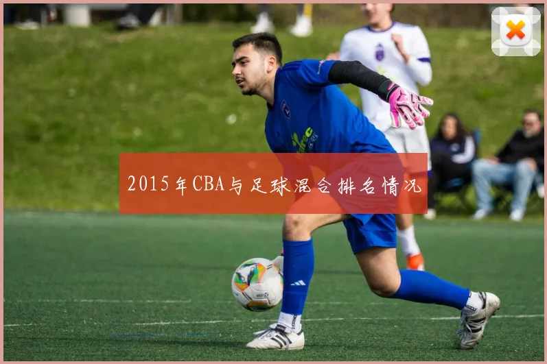 2015年CBA与足球混合排名情况