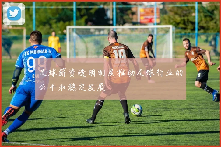 足球薪资透明制度推动足球行业的公平和稳定发展