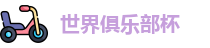 2025世界俱乐部杯